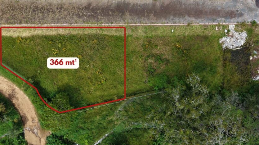 Bosque Pontezuelas L-007