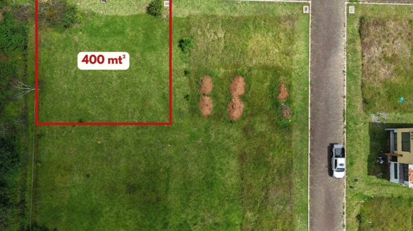 Bosque Pontezuelas L-005