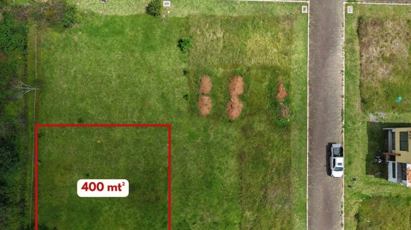 Bosque Pontezuelas L-006