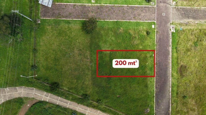 Bosque Pontezuelas L-011