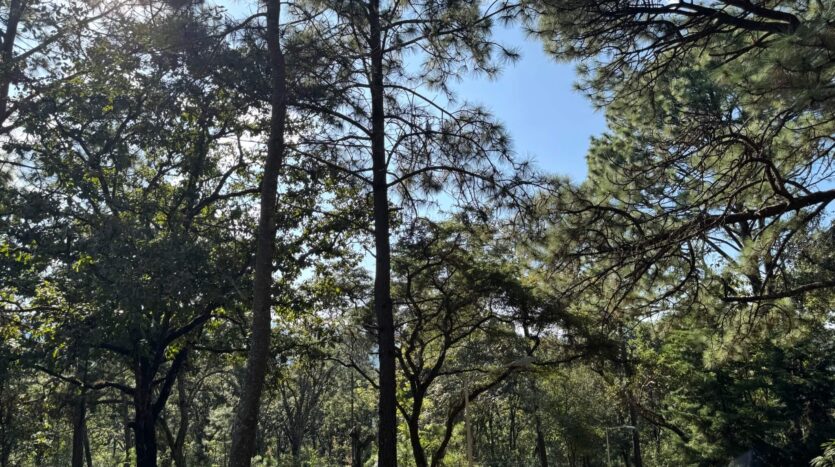 Bosques del Paraíso Norte F1