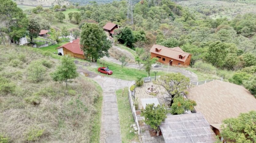 Bosque de altavista 6B-B